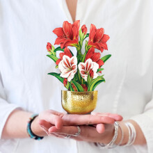 Cartes Pop Up Freshcut, Mini Amaryllis Écarlate, Bouquet 3D de 15 cm, Carte de Noël, Carte de Fête