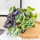 Artificial Plant Stem with Leaves 1 Piece 3