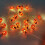 Ladybug String Lights 9.8ft 30 LED Battery Silver Wire Red 1
