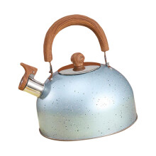 Stainless Steel Tea Kettle with Wood Handle 3L