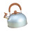 Stainless Steel Tea Kettle with Wood Handle 3L 1