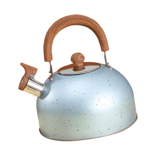 Stainless Steel Tea Kettle with Wood Handle 3L