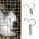 XROMTBEM Spring Latch Hooks for Wire Cages 10 pcs 4