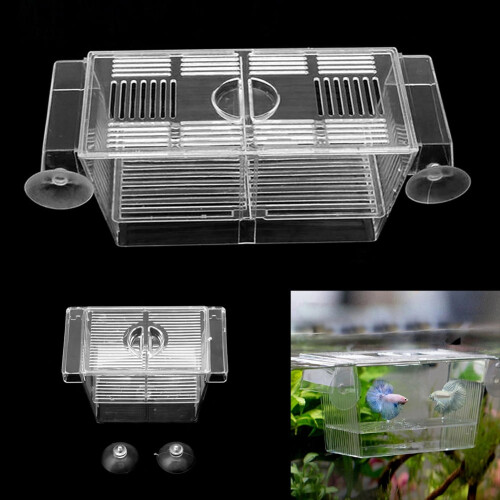 XROMTBEM fish breeder box transparent 2 sizes 1