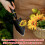 Gardening Hand Trowel Durable Efficient 1 Piece 8