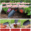Gardening Hand Trowel Durable Efficient 1 Piece 6