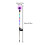 HBASD Halloween solar eyeballs stake 1 pack 2