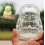 Buddha-shaped fruit mold for apple pear peach 1