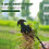 Weeding Tools Set Manual Vegetable Gardening 3 Pcs 3