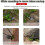 Weeding Tools Set Manual Vegetable Gardening 3 Pcs 4