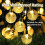 Solar String Lights Outdoor 30 LED 21.3FT 8 Modes Waterproof 4