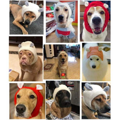 HESITONE dog ear muff noise protection one size 2
