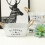 Rustic White Bucket Flower Pot with Twine Handles 1 pc 2
