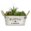 Rustic White Bucket Flower Pot with Twine Handles 1 pc 3