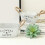 Rustic White Bucket Flower Pot with Twine Handles 1 pc 4