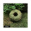 Moss Ball Pot Natural Bonsai Container 1 pc 2