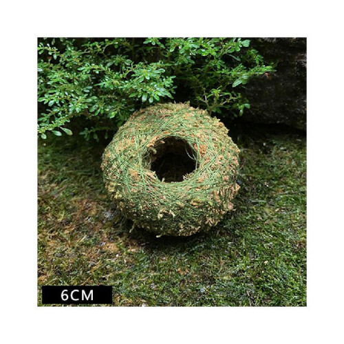 Moss Ball Pot Natural Bonsai Container 1 pc 1