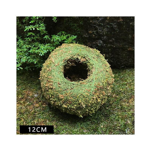 Moss Ball Pot Natural Bonsai Container 1 pc 2