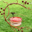 Courtyard hummingbird feeder with red berries design 5