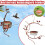 Courtyard hummingbird feeder with red berries design 2