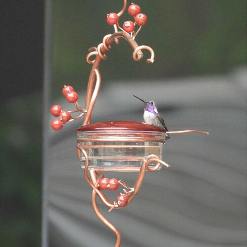 Courtyard hummingbird feeder with red berries design 2