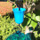 Moat Hooks for Hummingbird Feeders Plastic Metal 3 Pack 5