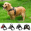 Dog Harness No-Pull Adjustable Reflective Breathable Oxford 6