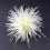 Feather Brooch Ostrich Feather Material 1 Piece 7