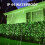 Fairy String Lights 5FT x 5FT 96 LED 8 Modes Green 5