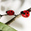 Ladybug String Lights 9.8ft 30 LED Battery Silver Wire Red 5