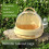 Hamster carrying bag with panoramic view and removable 5