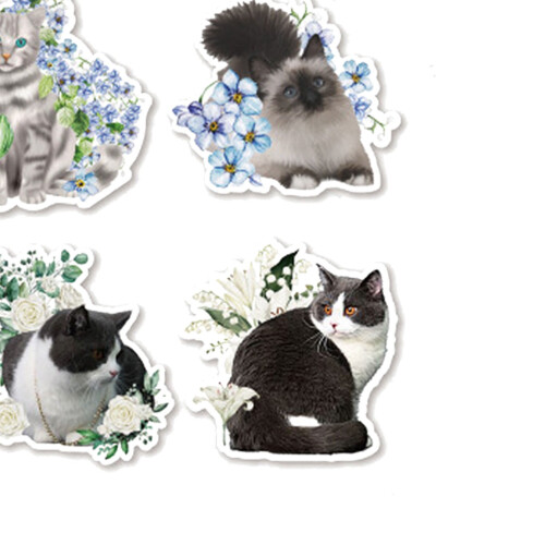 Handbook decal set retro cat flower design 45 pcs 1
