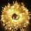 MAMOWEAR fairy lights 33 ft 100 LED 8 modes 1
