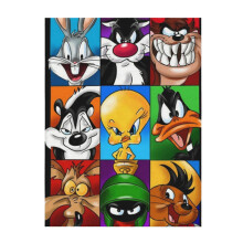 Looney Tunes plush throw blanket 80" x 60"