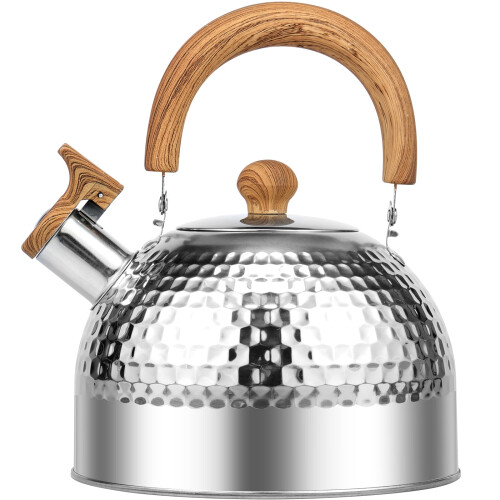 Stainless Steel Whistling Tea Kettle 2L