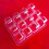 Seedling Trays Set Plastic 10 pcs 7