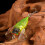 Fishing Lure Treble Hook 6.5g 5cm Luminous Cicada 4