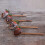 Heart-Shaped Wooden Spoon Set 2 Pieces 4
