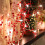 Christmas String Lights Red Berry Beaded Garland 10ft 30LED 6