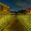 MAMOWEAR LED Christmas net light 5 ft 7