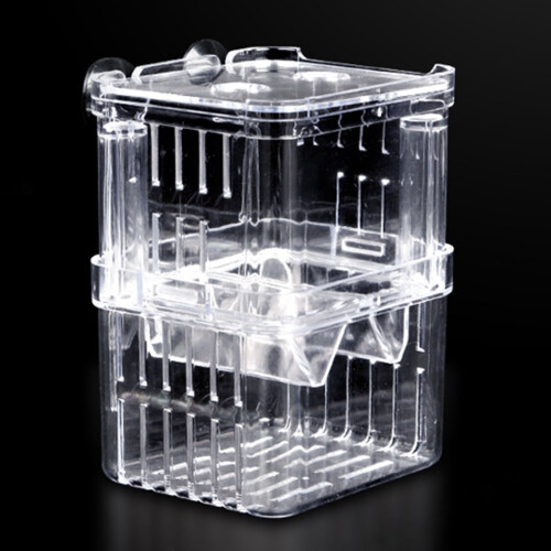 Fish Breeding Box Acrylic White 1pc 2