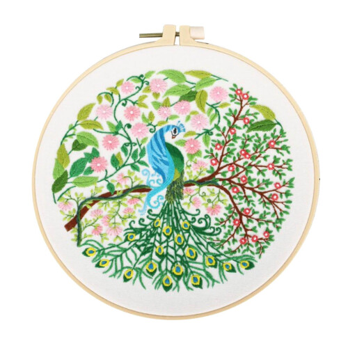 Flower Embroidery Kit for Beginners with Pre-Printed Design 1