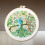 Flower Embroidery Kit for Beginners with Pre-Printed Design 6
