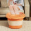 Foldable Foot Bath Bucket with Handle and Lid 1