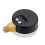 Pressure Gauge 0-30 PSI 0-2 Bar Dial Black 4