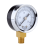Pressure Gauge 0-30 PSI 0-2 Bar Dial Black 6