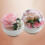 Clear DIY Fillable Ornaments 5cm Pack of 10 5