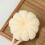 Shower Brush with Long Handle Soft Bristles for Exfoliation 5