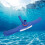 SUNRI pool brush head 20 inch 3