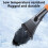 Car Snow Brush and Ice Scraper with Ergonomic Grip - 1 Piece 5